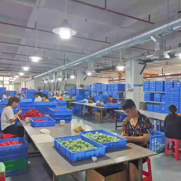 Qimeng Toy Factory company overview - view 2