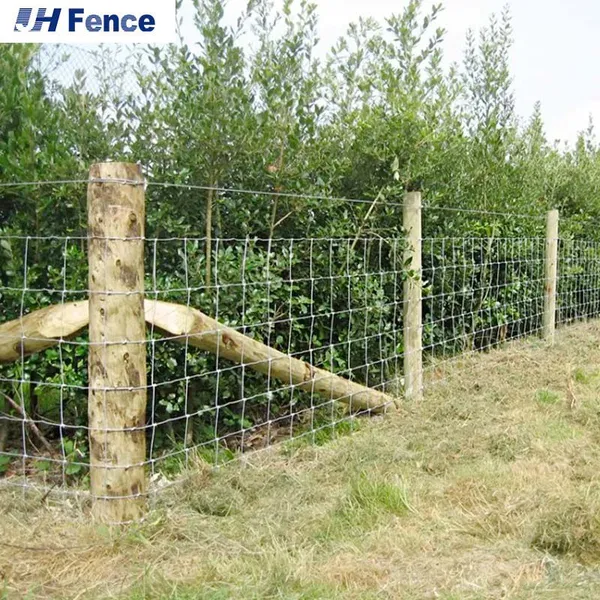 Cheap Farm Field Fence Barbed Wire and t Posts Farm Guard Field Fence Sustainable photo-6