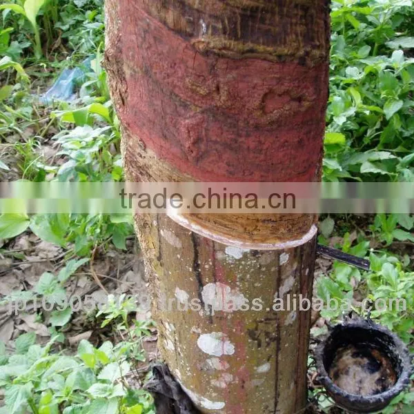 Japanease High Quality Natural Latex Liquid Low Ammonia - ULACOL -