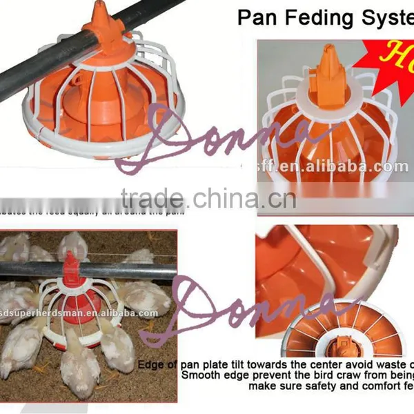 Broiler Farm House and Equipments photo-3