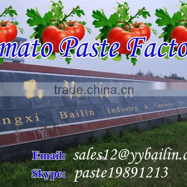 100% fresh tomato with high quality product processing canned tomato paste