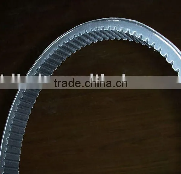 Belt\cogged Belt