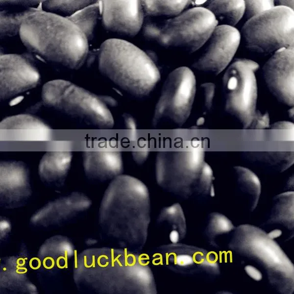 High Quality White/Black Pulse Beans photo-5