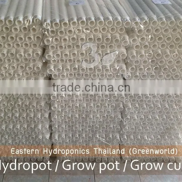 Export Grow Cup photo-3