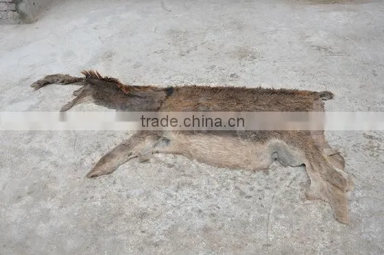 Donkey Hides, Donkey Skin,Donkey Leather