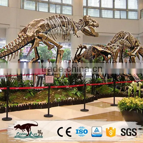 2016 Vivid Life Size Replica Dinosaur Fossils For Sale photo-4