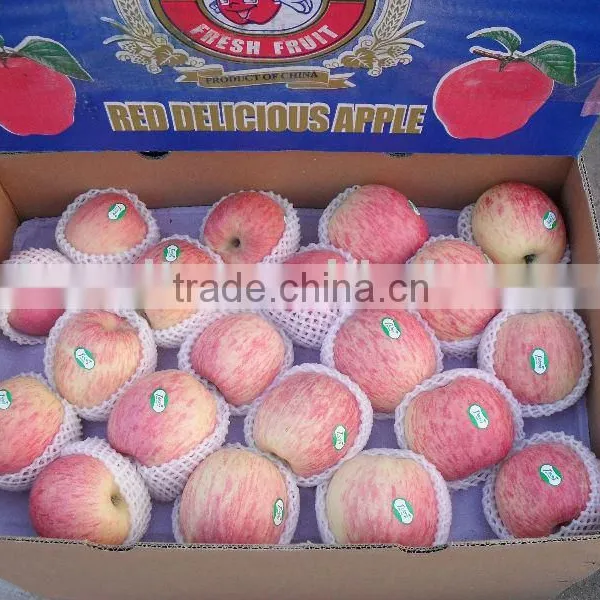 Fuji Apple