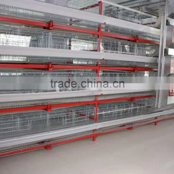 Layer Chicken Cages For Farm photo-5