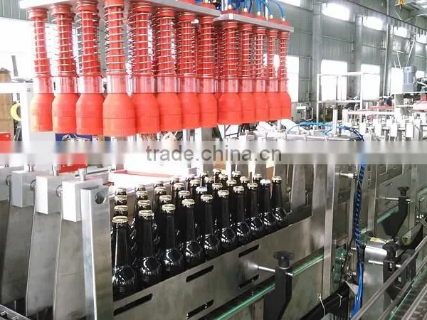 Case Packer/Case Packing Machine photo-5