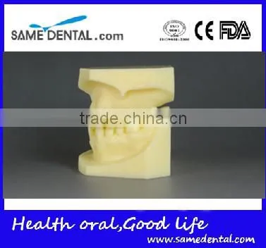 Malocclusion Classification Demonstration Model 2 photo-3
