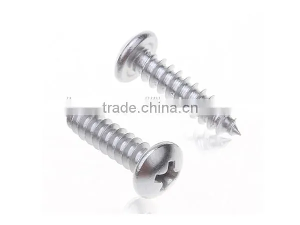 Din7981/pan Head Self Tapping Screw/stainless Steel Self Tapping Screw photo-2