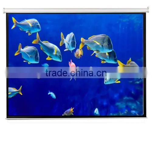 New Design 3d Projector Screens / Holographic Portable Rear Projection With Folding Screen photo-5