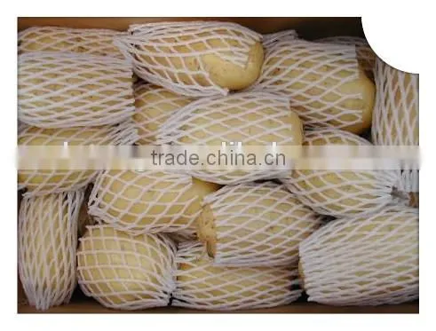Potato Prices From Chinese Fresh Potato Export to Mideast and Southeast Aisia photo-2