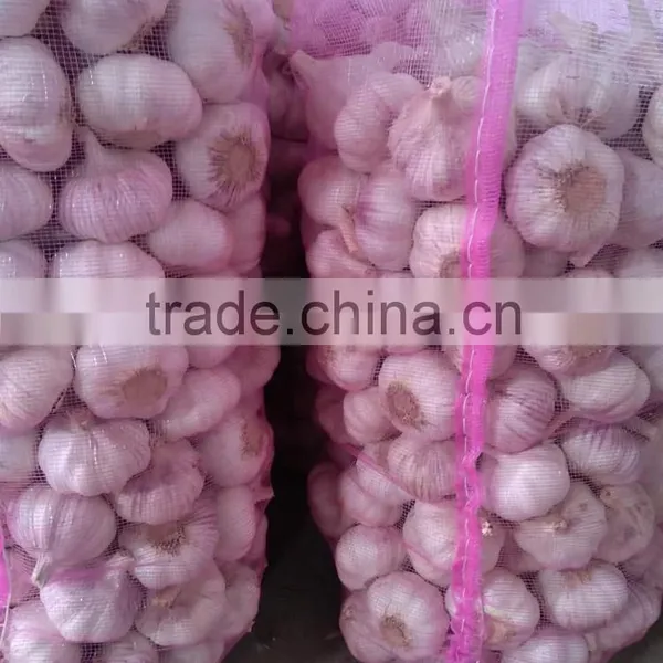 Fresh Garlic New Crop photo-2