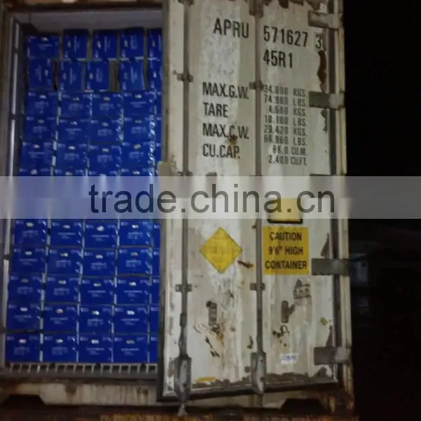 FRESH GINGER WITH PVC BOXES FOR MIDDLE EAST MARKET photo-6