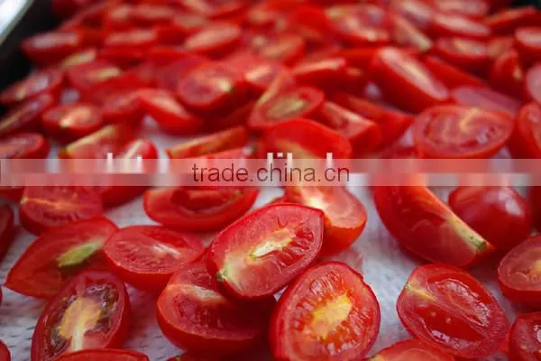Hot Sun Dried Tomatoes for Importers /Best Quality/ Competitive Price