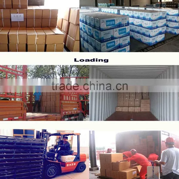 Supplier Bacillus Subtilis/product Bacillus Subtilis/manufacturing Bacillus Subtilis photo-4
