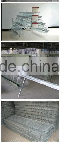 Poultry Farm House Design A Type Layer Chicken Cage for 96 Egg Chicken photo-2