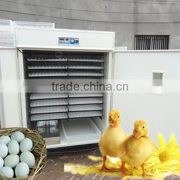 Full Automatic Ostrich Egg Hatching Machine Factory Directly Hatching Machine for Sale photo-2