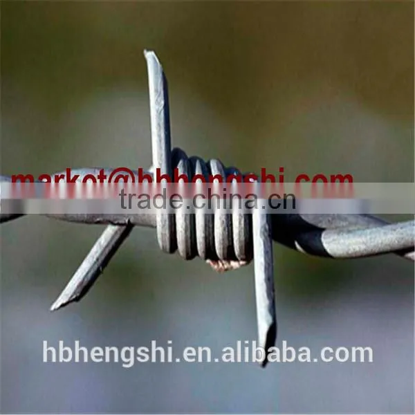 China Wholesale Fence Top Barbed Wire/barbed Wire Manufacturers photo-5