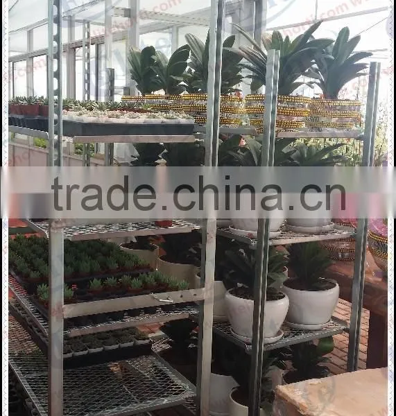 Greenhouse and Garden Mobile Flower Shelf Rack photo-5