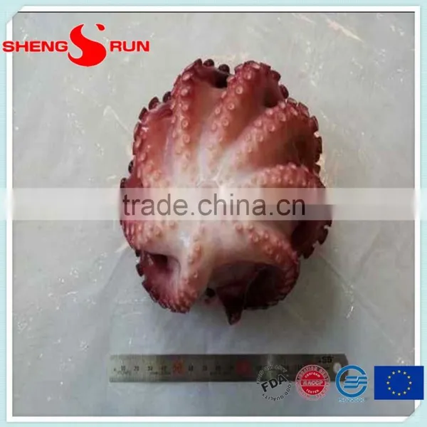 Frozen Flowered Baby Octopus photo-3
