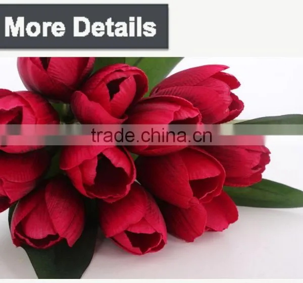 Colorful Wholesale Cheap Tulip Flower for Decoration photo-6