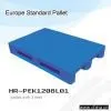 Plastic Tray Mould/ Plastic Pallet Mould/ Plastic Injection Mould