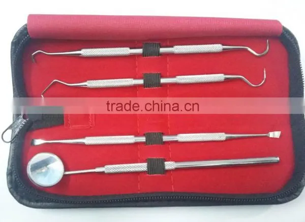 Dental Hygiene Kit/ Complete Set for Teeth Cleaning/ Best Quality Stainless Steel Dental Scalar Kit photo-2