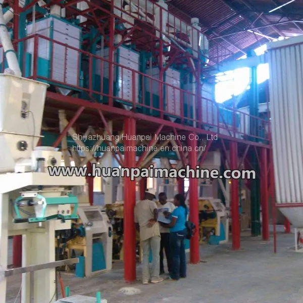 35-60TPD maize flour production process / maize milling machines / maize milling machine price