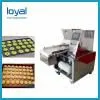 Automated Food Production Line Making Biscuit / Cookies / Crisps / Doughnuts photo-3