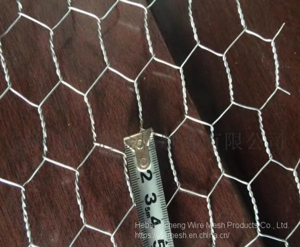 Galvanized Chicken Wire Mesh Fence Net Hexagonal Netting photo-2