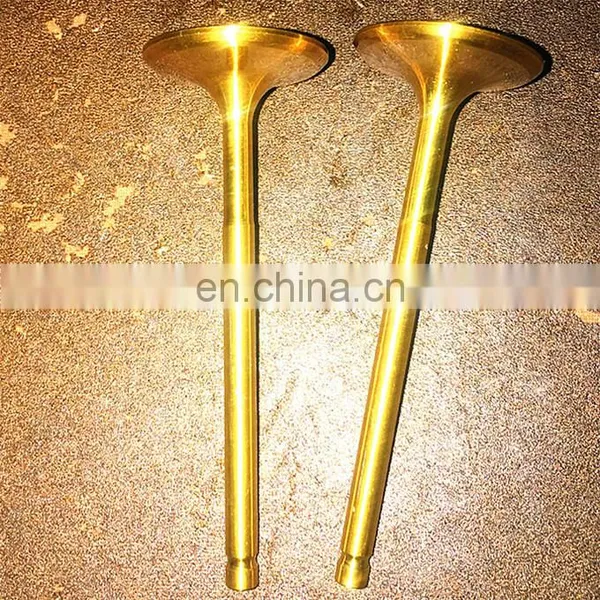 Replacement Parts Inlet Exhaust Engine Valve for GMC Detroit 6V53 Diesel 6-71N 6V-71 6V-71N 8V-71N 12V-71N Tg2865 photo-4