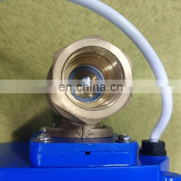 CWX Mini Electric Ball Valve CWX-60P photo-3