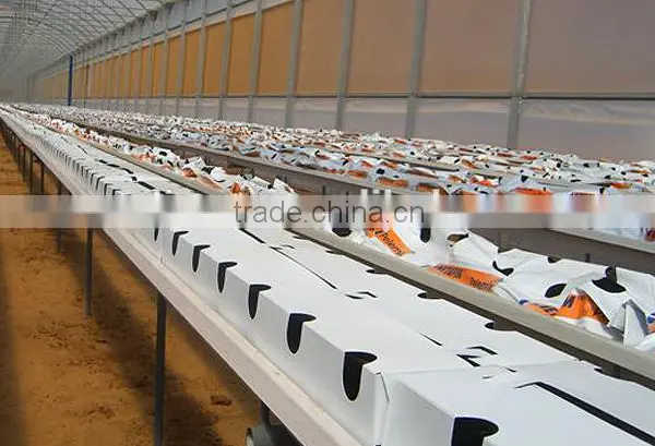 PVC Soilless Growing Troughing System photo-2