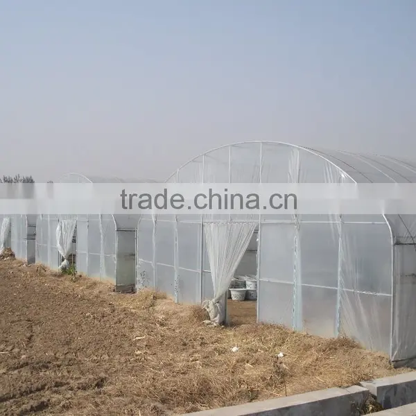 Plastic Film Solar Tunnel Greenhouse photo-2