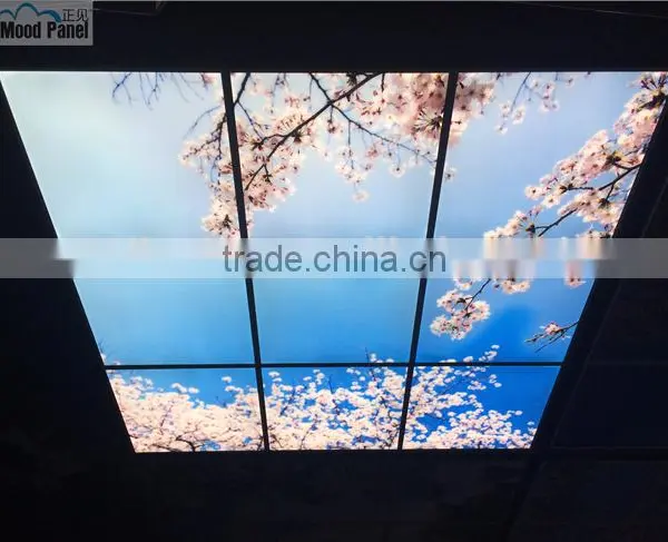 2015 Japanese Style Sakura Sky Ceiling Panel photo-2