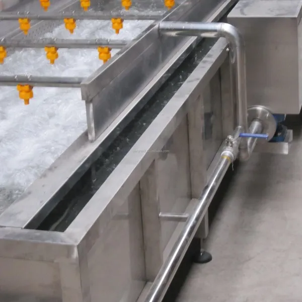1000KG/H Capacity Rotary Washing Machine for Fruits & Vegetables Processing Line photo-4