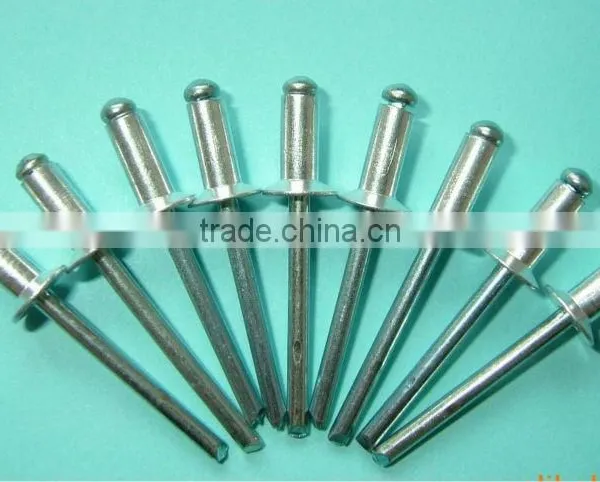 Rivet Nail1 photo-4