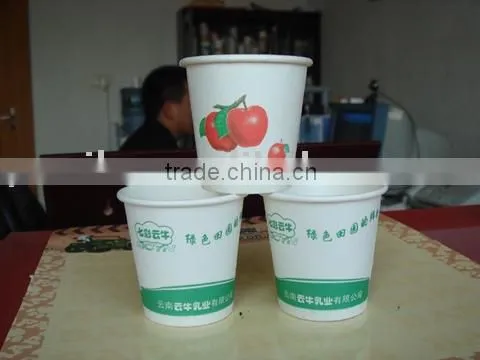 Disposable Paper Cup