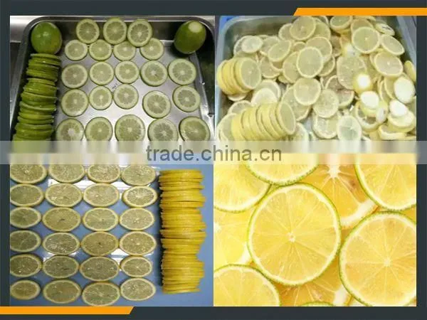 Leader Kiwi Slicer /onion Ring Machine With CE&ISO photo-5