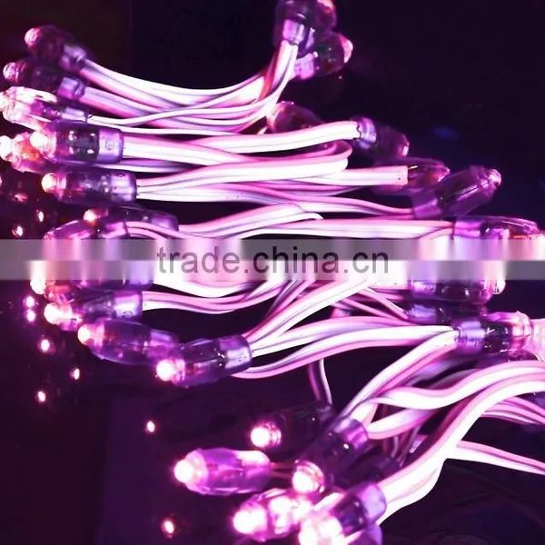 Solar Powered Led String Lights photo-2
