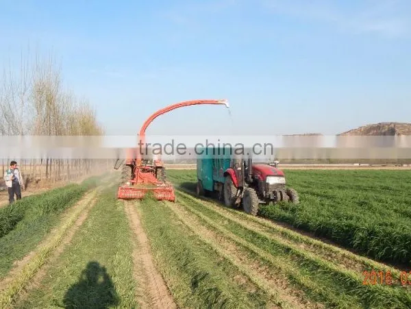 Wheat Forage Harvester Powered by Tractor photo-4