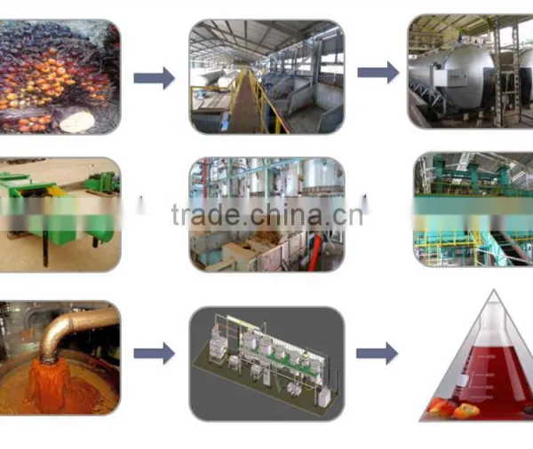 Palm Oil Press Machine photo-5