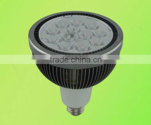 PAR 12W LED Spotlight