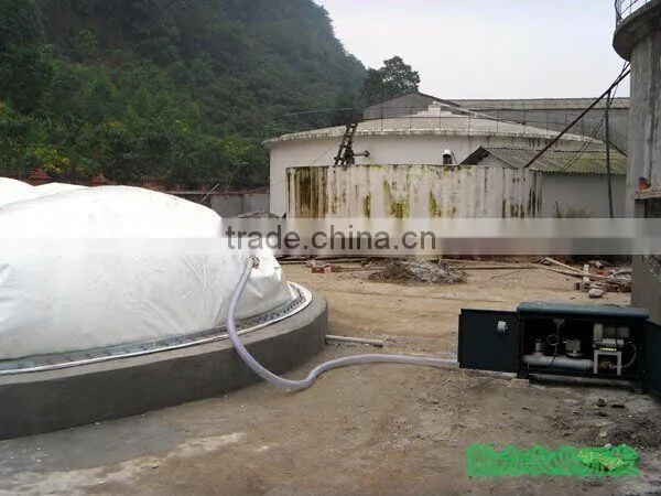 PUXIN 700 Cubic Metre Soft Dome Biogas Plant for Swine Manure Treatment photo-4