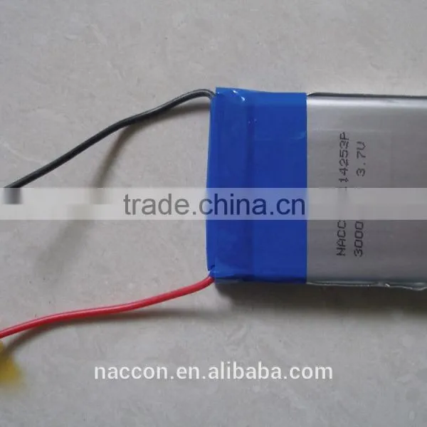 Mobile Computer With Polymer Batteries photo-3