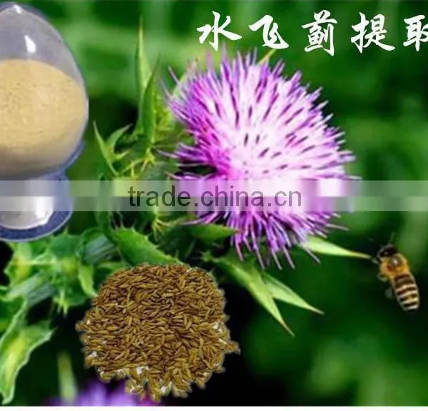 Water Soluble Organic 30%-98% Silymarin photo-6
