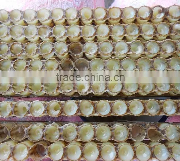 Lyophisized Royal Jelly Powder photo-6