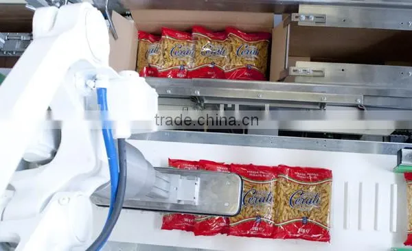 the Bag Case Packing Machine photo-3